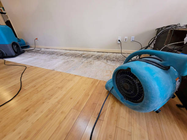 Professional Structural Drying technician working in Ypsilanti, MI